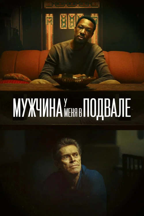 Мужчина у меня в подвале