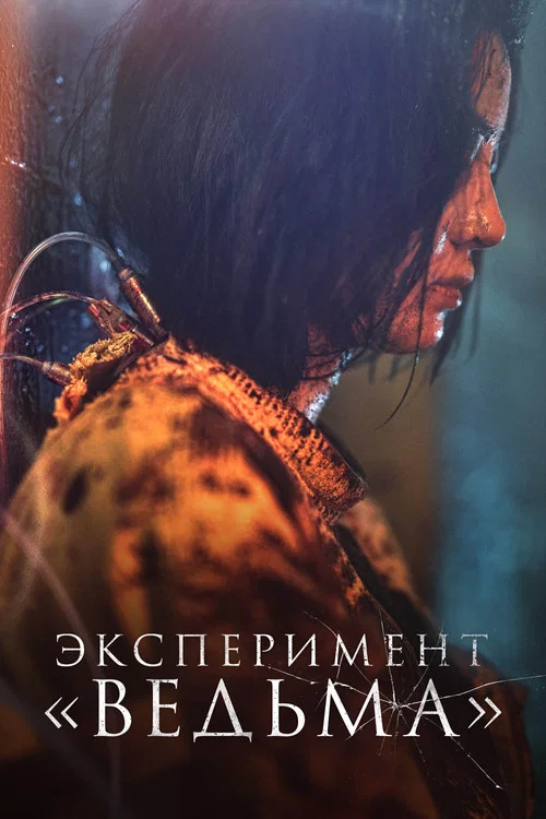 Эксперимент «Ведьма»