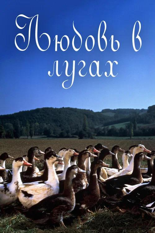 Любовь в лугах